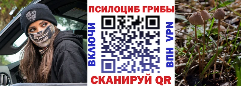 Псилоцибиновые грибы Psilocybe Дно