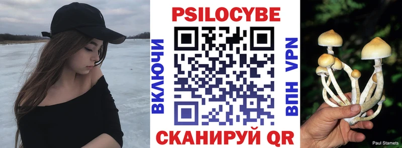наркотики  Дно  Псилоцибиновые грибы прущие грибы 